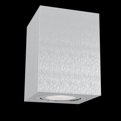 Накладной светильник Maytoni Alfa C017CL-01S фото Накладной светильник Maytoni Alfa C017CL-01S. Фото №2