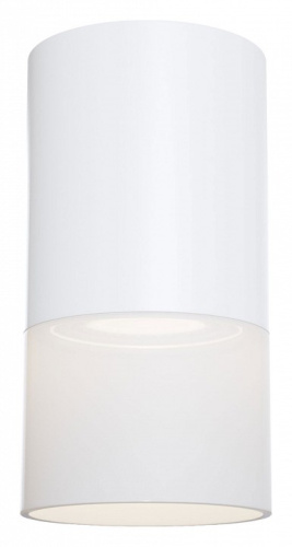 Накладной светильник Maytoni Pauline C007CW-01W. Фото №1