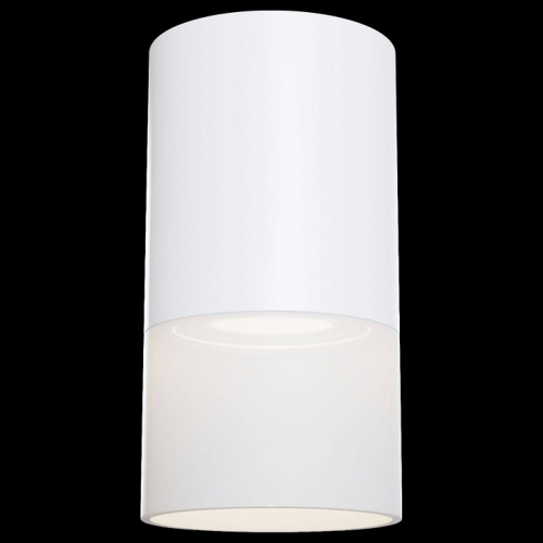 Накладной светильник Maytoni Pauline C007CW-01W. Фото №2