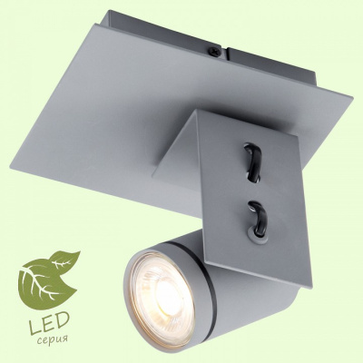 Спот Lussole Dillingham GRLSP-8022. Фото