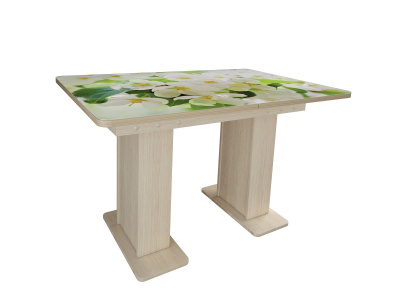 Стол Дуэт 1200, двухтумбовый. Фото