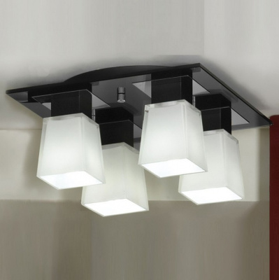 Накладной светильник Lussole Lente LSC-2507-04 фото Накладной светильник Lussole Lente LSC-2507-04. Фото №2